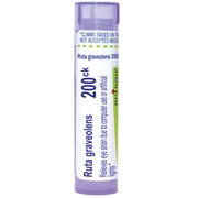 Boiron Ruta Graveolens 200CK, Homeopathic Medicine for Eye Strain Due To Computer Use Or Artificial Lights, 80 Pellets