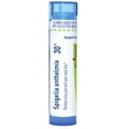 thumbnail interactive-video image 1 of Boiron Spigelia Anthelmia 200Ck - Homeopathic Sinus Relief Pellets 80 Count 1 of 9