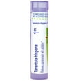 thumbnail image 1 of Boiron Tarentula Hispana 1M, Homeopathic Medicine for Apprehension With Agitation, 80 Pellets, 1 of 12