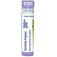 thumbnail image 1 of Boiron Tarentula Hispana 200CK, Homeopathic Medicine for Apprehension With Agitation, 80 Pellets, 1 of 13