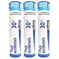 thumbnail image 1 of Boiron Thuja Occidentalis 30c Homeopathic Medicine for Warts - Pack of 3 (240 Pellets), 1 of 3