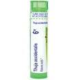 thumbnail image 1 of Boiron Thuja Occidentalis 6X, Homeopathic Medicine for Warts, 80 Pellets, 1 of 12