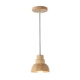 thumbnail image 1 of Boise Collection One Light Pendant, 1 of 5