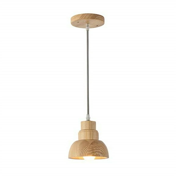 Boise Collection One Light Pendant