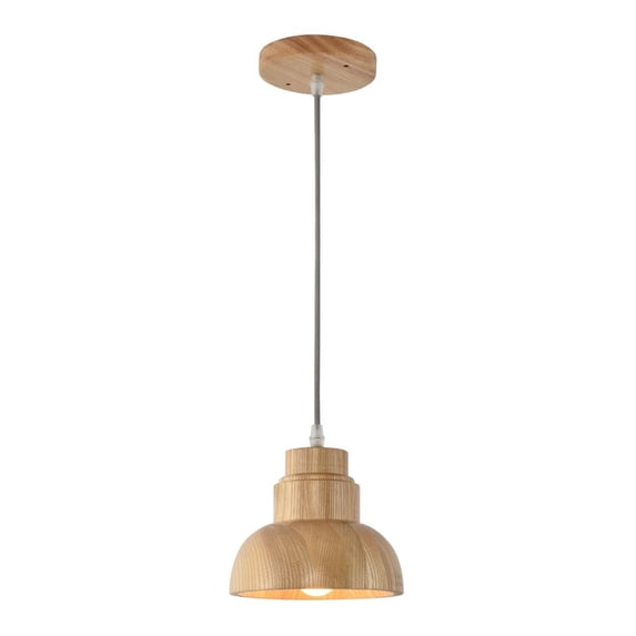 Boise Collection One Light Pendant