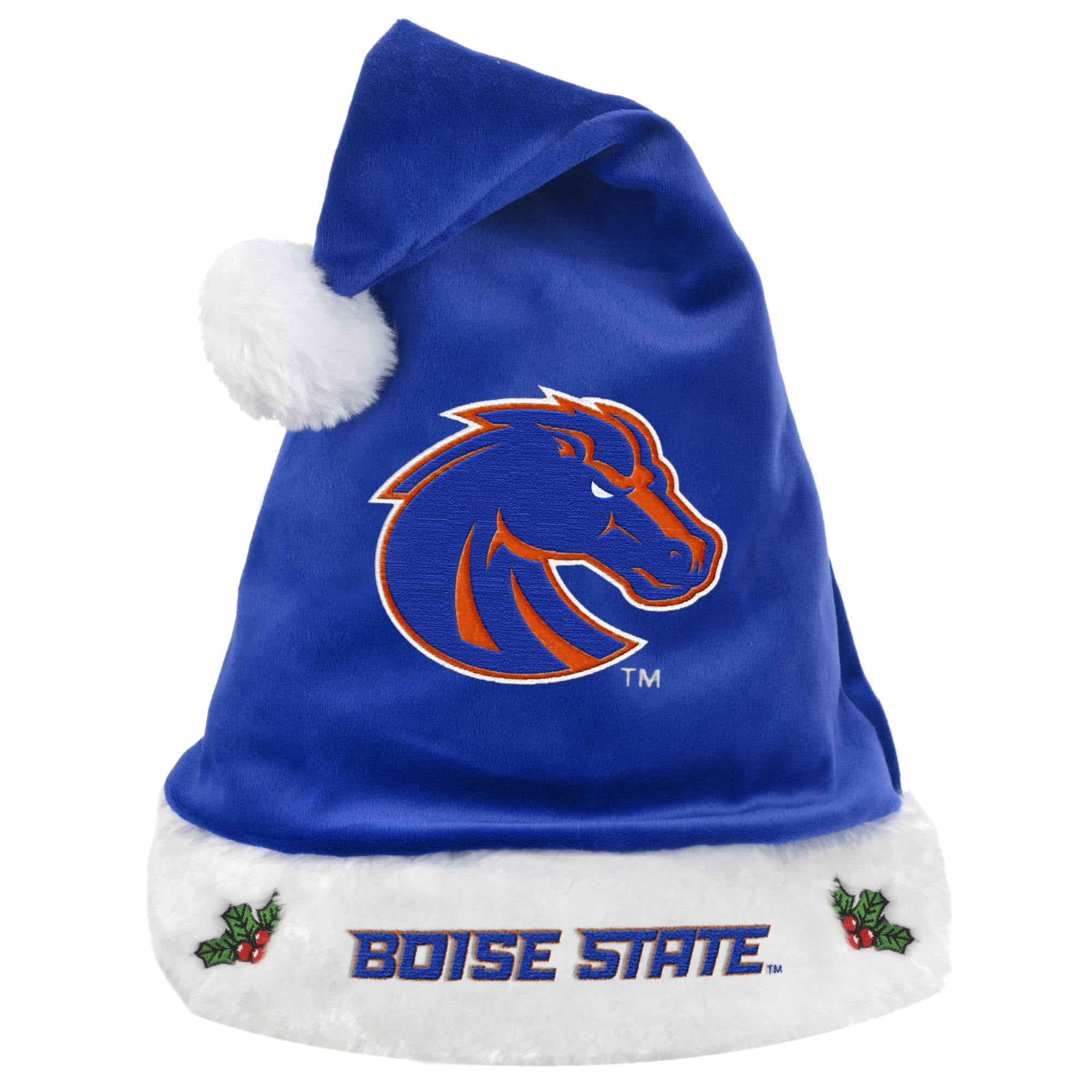 Denver broncos santa sales hat