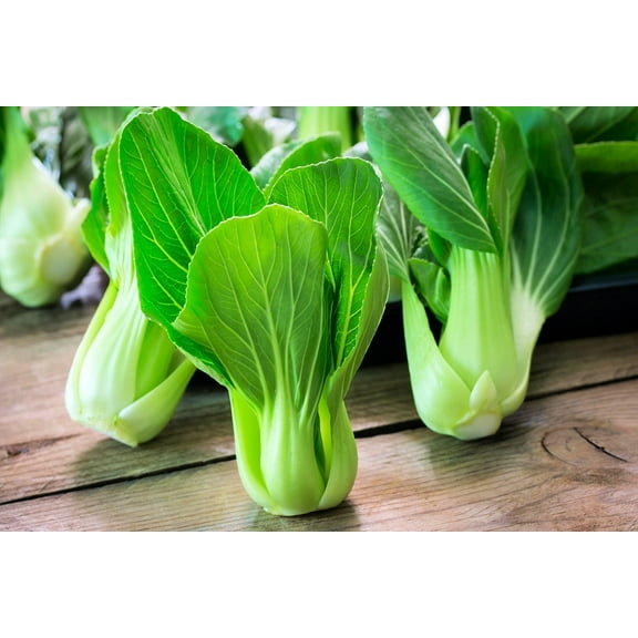CZ Grain 250 Bok Choy Chinese Cabbage Plant Seeds, Non-GMO