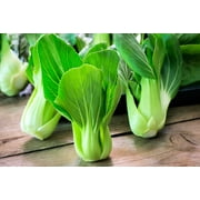 Bok Choy Chinese Cabbage Seeds for Planting - Pak Choi Heirloom, Non-GMO Vegetable Variety- 1 Gram Seeds Great for Summer, Spring, Fall and Winter 500 Seeds