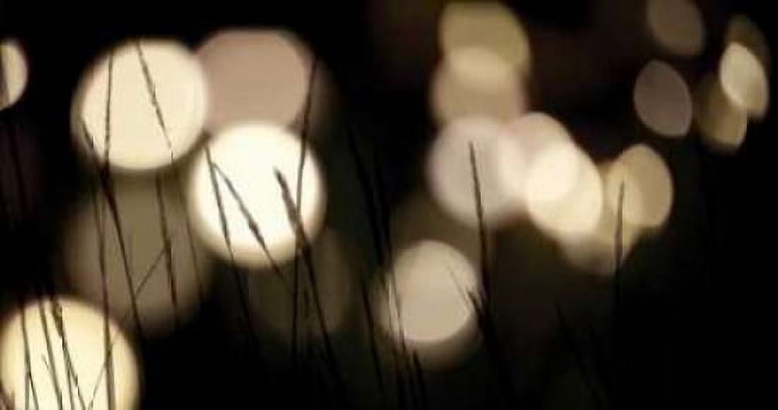 Bokeh Grass I Canvas Art - Erin Berzel (12 x 18)