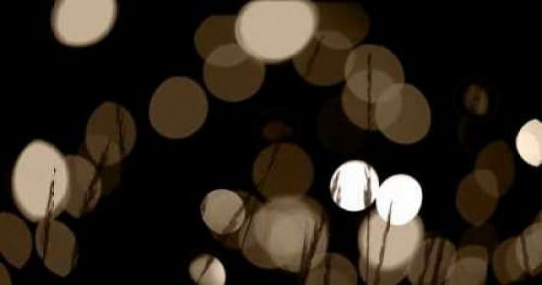 Bokeh Grass II Canvas Art - Erin Berzel (24 x 36)