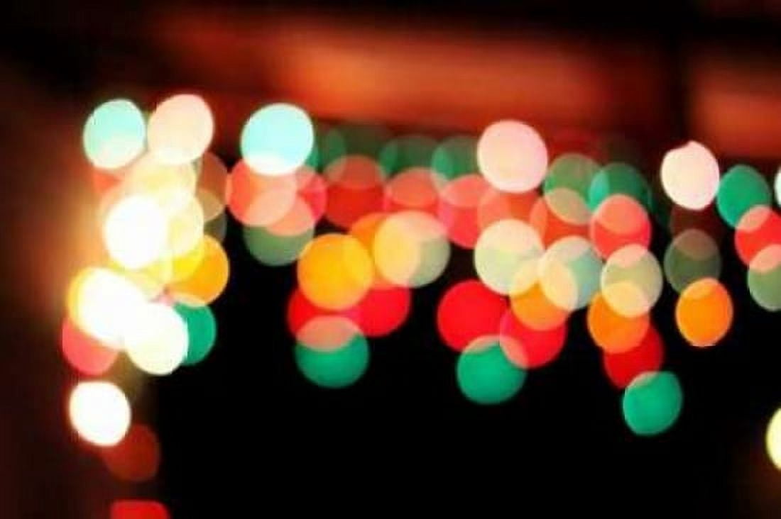Bokeh II Canvas Art - Leesa White (20 x 28)