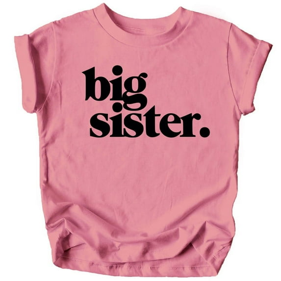Bold Big Sister Colorful Sibling Reveal Announcement T-Shirt for Baby and Toddler Girls Sibling Outfits Mauve Shirt 2T