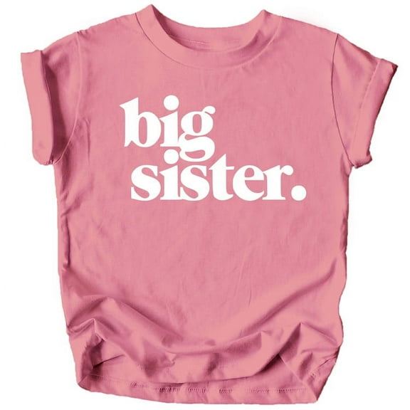 Bold Big Sister Colorful Sibling Reveal Announcement T-Shirt for Baby and Toddler Girls Sibling Outfits Mauve Shirt 2T