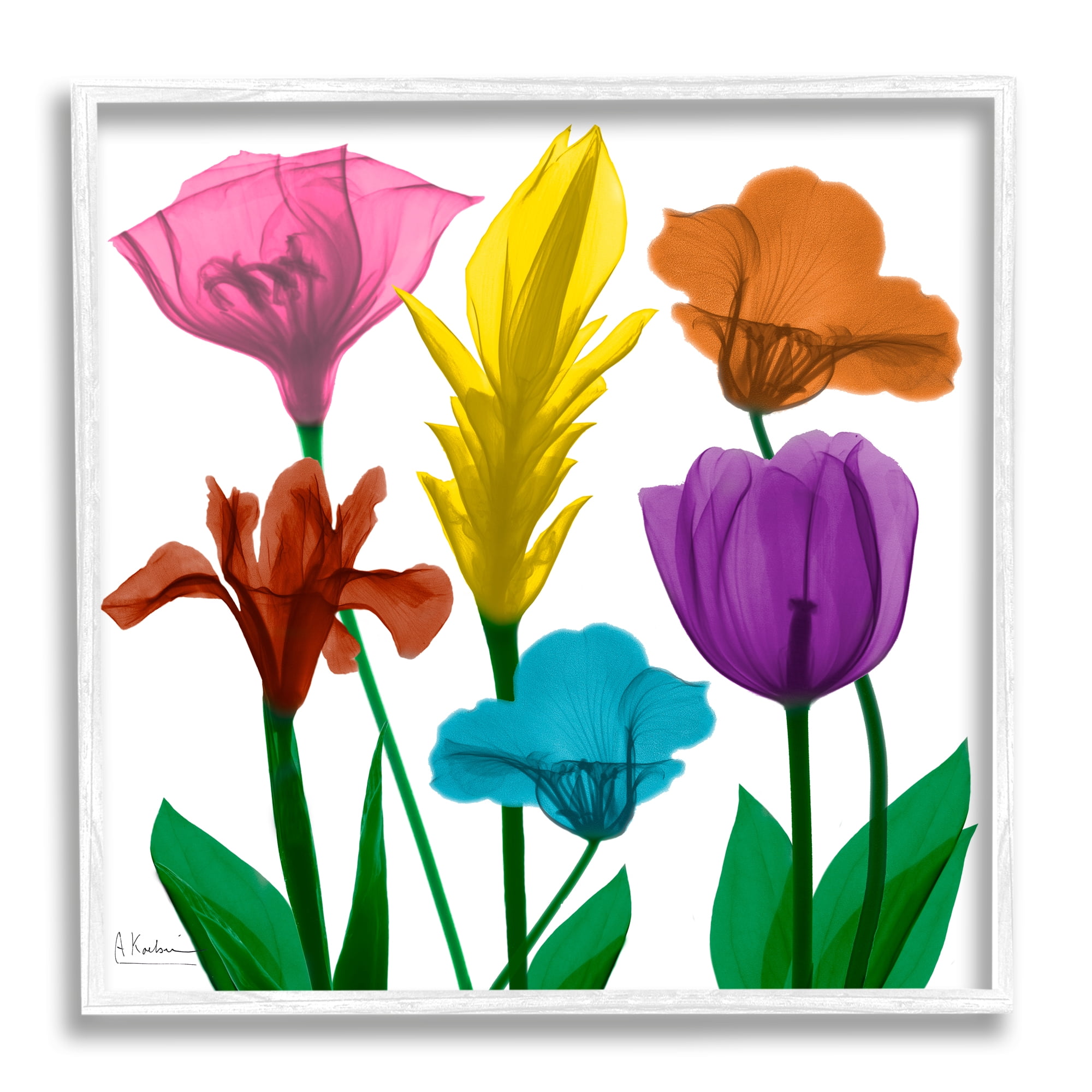 Bold Rainbow Spring Flowers Translucent Floral Photography Botanical & Floral Framed Art Print Wall Art, 17x17