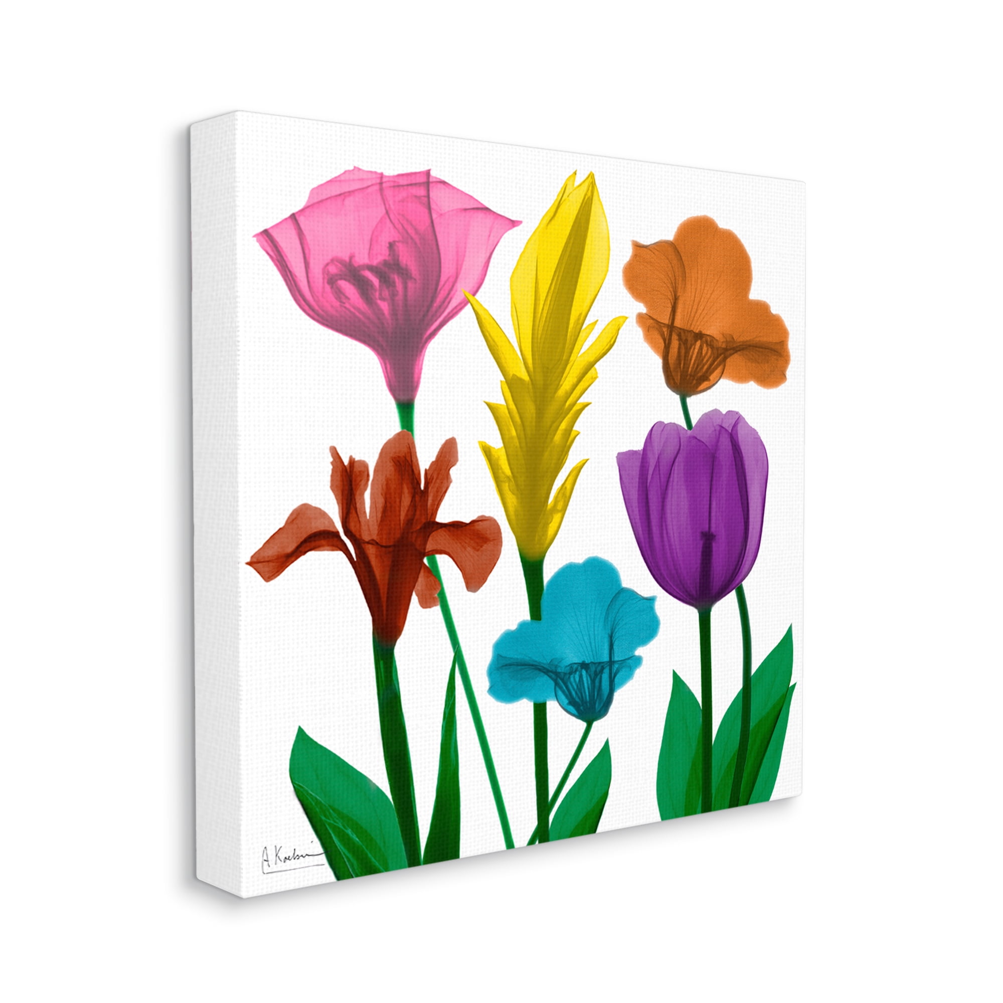 Bold Rainbow Spring Flowers Translucent Floral Photography Botanical & Floral Gallery-Wrapped Canvas Print Wall Art, 17x17