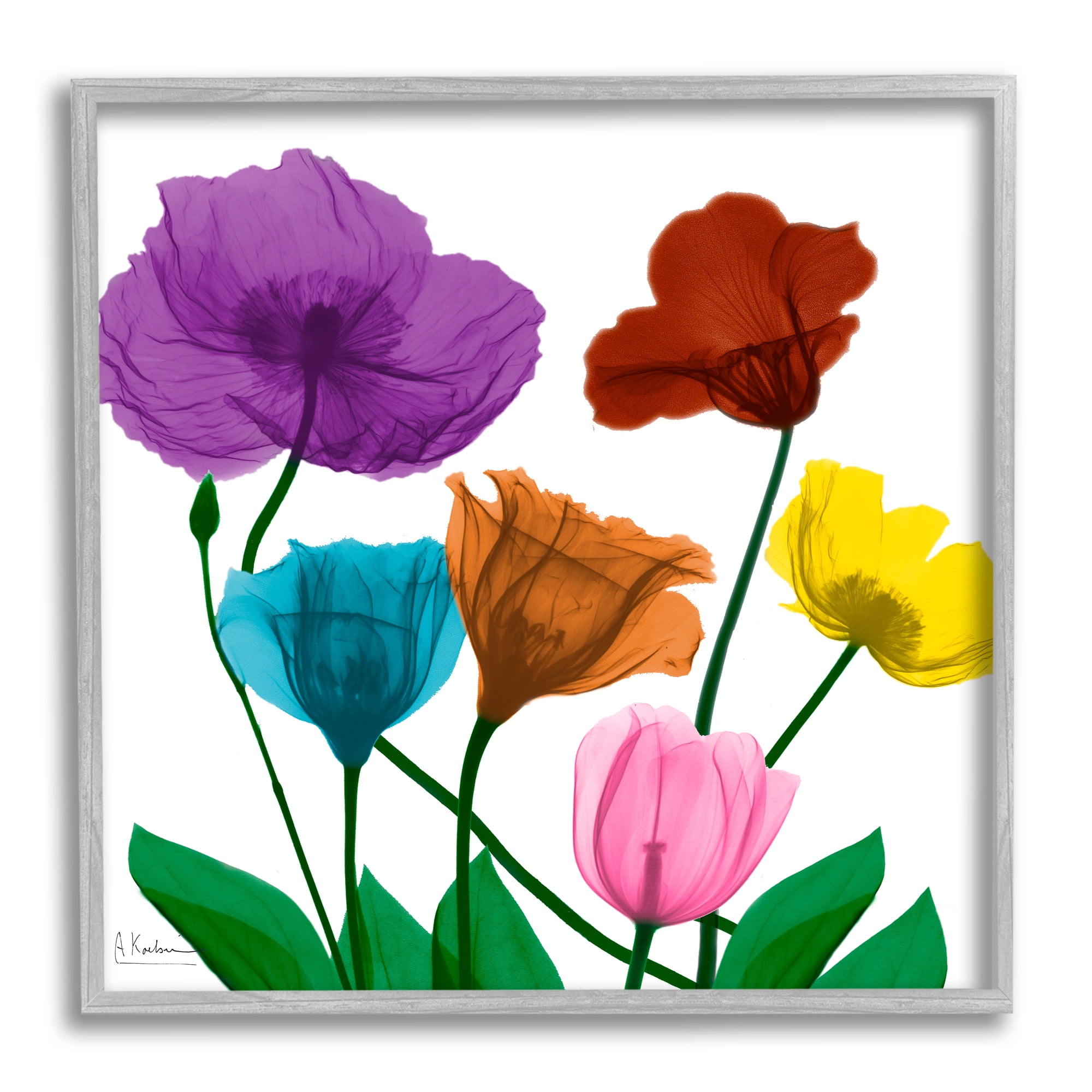 Bold Summer Blooming Florals Translucent Rainbow Flowers Botanical & Floral Framed Art Print Wall Art, 17x17