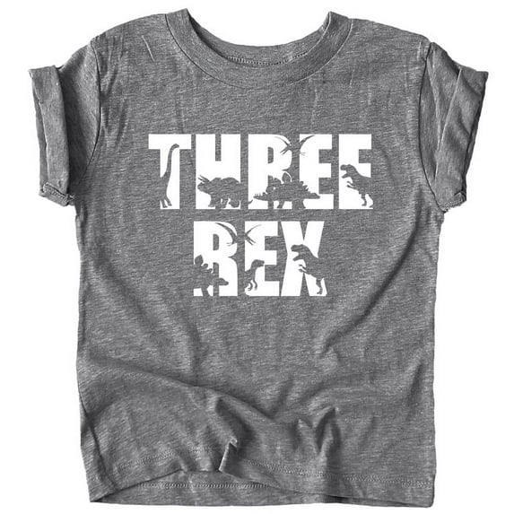 Bold Three Rex Dinosaurs 3rd Birthday T-Shirts for Baby Girls and Boys Third Birthday Outfit Granite Heather Shirt 5-6