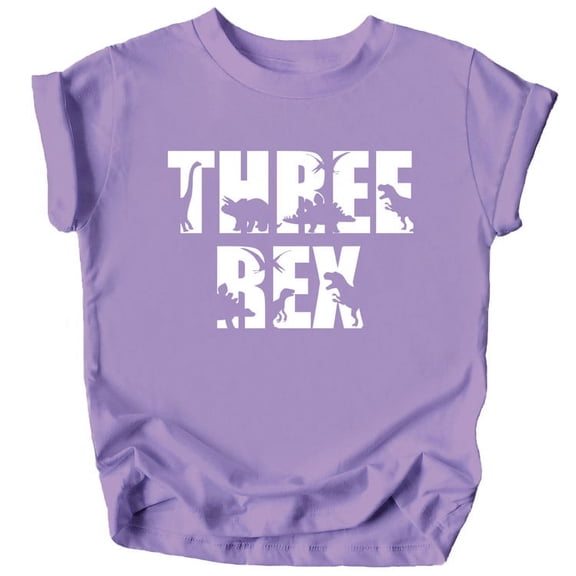 Bold Three Rex Dinosaurs 3rd Birthday T-Shirts for Baby Girls and Boys Third Birthday Outfit Purple Shirt 3T