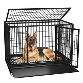XXL Dog Crates in Dog Crates - Walmart