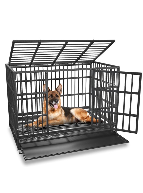 XXL Dog Crates in Dog Crates