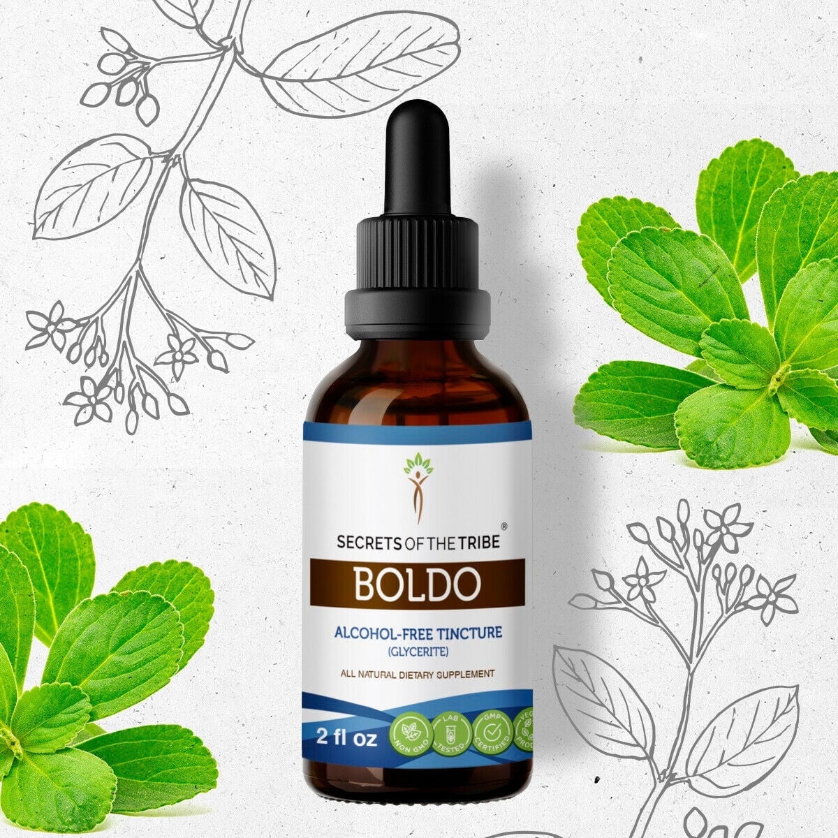 Secrets Of The Tribe Boldo Tincture Dietary Supplement, Natural Herbal ...