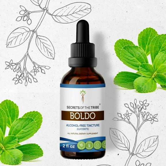 Secrets Of The Tribe Boldo Tincture Dietary Supplement, Natural Herbal Extract for Liver Support, Boldo (Peumus boldus) Dried Leaf, Alcohol-Free Extract, Drops 2 oz