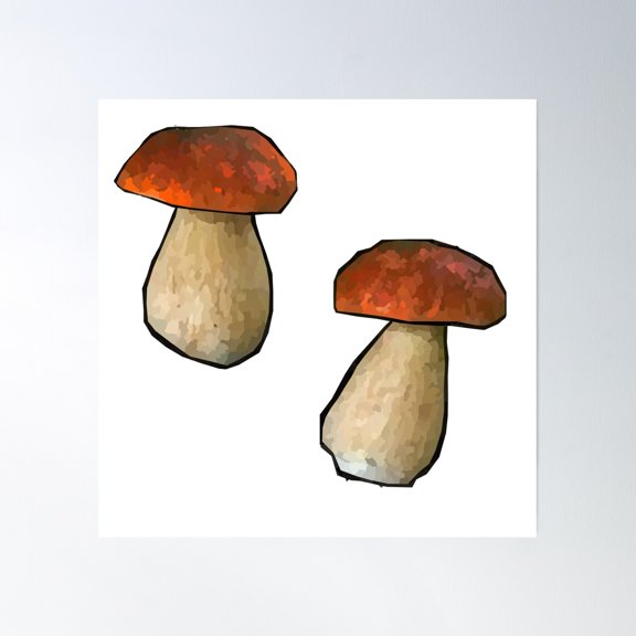 Boletus Edulis Porcini Mushroom Poster Wall Art, Modern Wall Decor, 30x30 UNFRAMED
