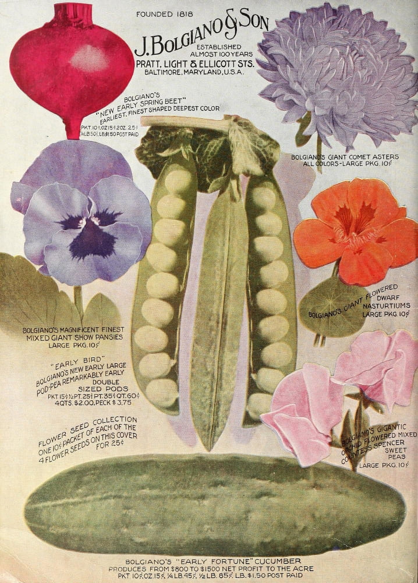 Bolgianos Catalogue 1917 Flowers & Vegetables Canvas Art -  (18 x 24)