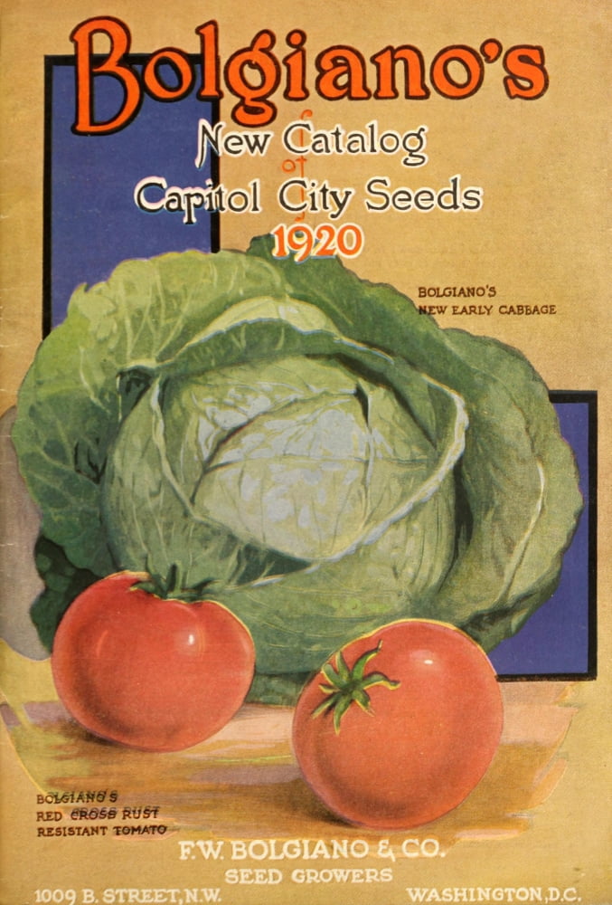 Bolgianos Catalogue 1920 Tomatoes & Lettuce Canvas Art - (24 x 36)