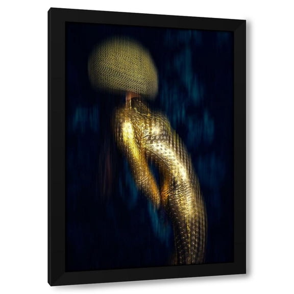 Ruslan Bolgov 11x14 Black Modern Wood Framed Wall Art Titled - Anti-Gravity