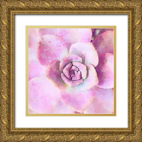 Bolick, Vicki Gladle 20x20 Gold Ornate Wood Framed with Double Matting Museum Art Print Titled - Succulente VIII