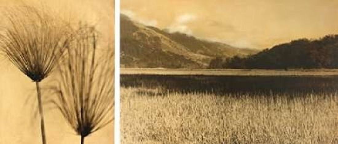 Bolinas Lagoon #7 Canvas Art - Jan Gauthier (10 x 20)