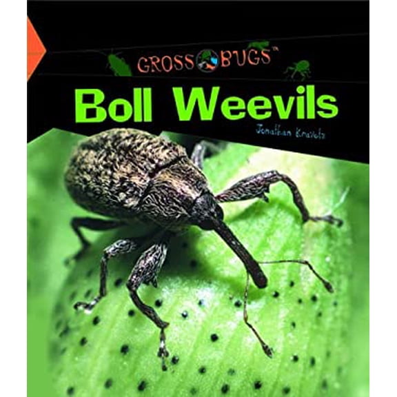 Pre-Owned Boll Weevils (Library Binding) 9781404230415