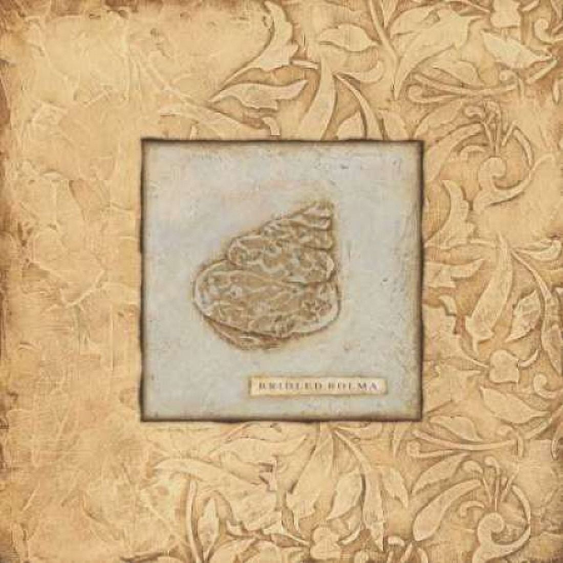 Bolma Canvas Art - Stephanie Marrott (24 x 24)