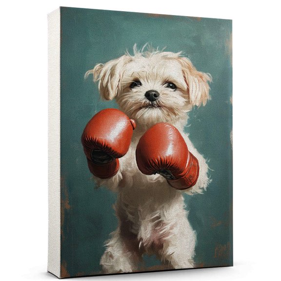 Bolognese Dog Playing Boxing Stretched Canvas Size 8x12 – Sports Dog, Perfect for Animal Lovers, Bolognese Dog Canvas, Boxing Canvas Size Wall Art