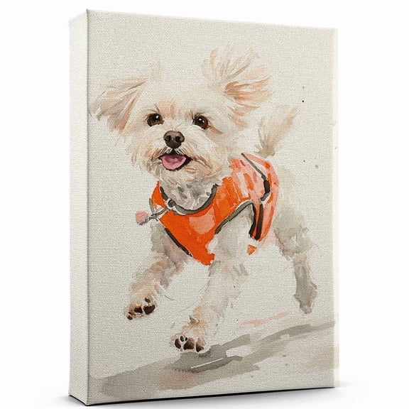 Bolognese Dog Playing Running Wall Stretched Canvas Size 8x12 – Bolognese Canvas Art for Dog Lovers, Running Canvas Wall Decor