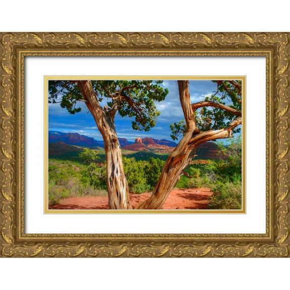 Bolokofsky, Ronald 14x11 Gold Ornate Wood Framed with Double Matting Museum Art Print Titled - Sedona Red III