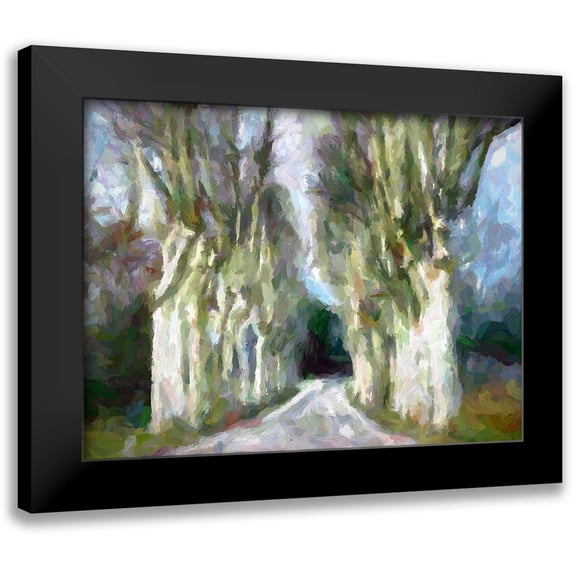 Bolokofsky, Ronald 14x12 Black Modern Framed Museum Art Print Titled - A Road Less Traveled