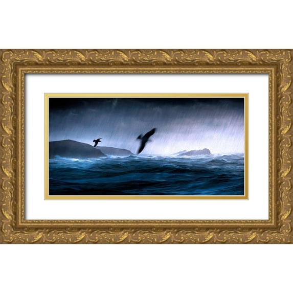Bolokofsky, Ronald 14x9 Gold Ornate Wood Framed with Double Matting Museum Art Print Titled - Flying Through the Storm