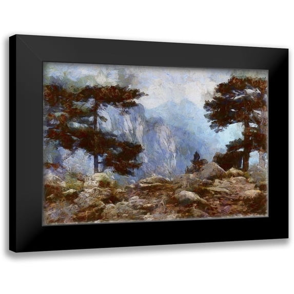 Bolokofsky, Ronald 18x13 Black Modern Framed Museum Art Print Titled - Mountain Top View.