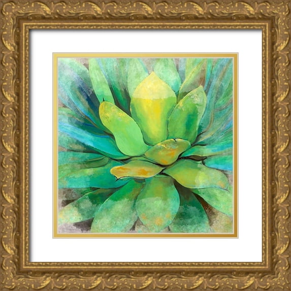 Bolokofsky, Ronald 20x20 Gold Ornate Wood Framed with Double Matting Museum Art Print Titled - Green Echeveria