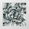 thumbnail image 1 of Bolokofsky, Ronald 20x20 White Modern Wood Framed Museum Art Print Titled - Cereus Aeonium, 1 of 4