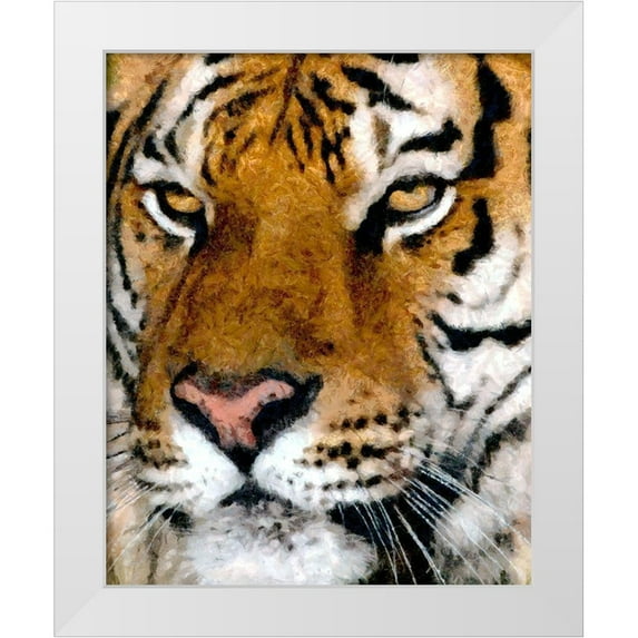 Bolokofsky, Ronald 20x24 White Modern Wood Framed Museum Art Print Titled - Portrait of a Tiger