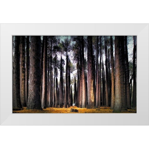 Bolokofsky, Ronald 24x17 White Modern Wood Framed Museum Art Print Titled - Into the Forest