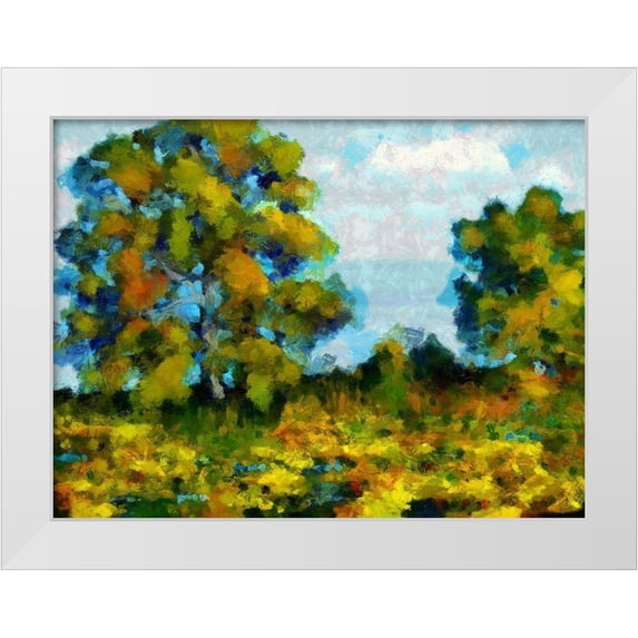 Bolokofsky, Ronald 24x19 White Modern Wood Framed Museum Art Print Titled - Oak Hill
