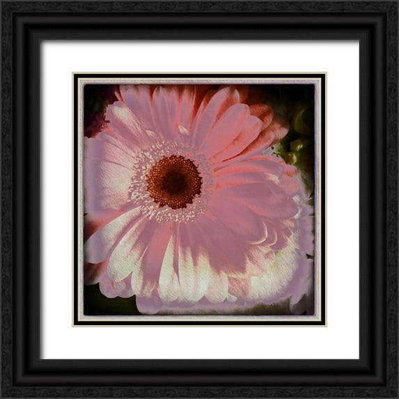Bolokofsky, Ronald 26x26 Black Ornate Wood Framed with Double Matting Museum Art Print Titled - Floral Pink
