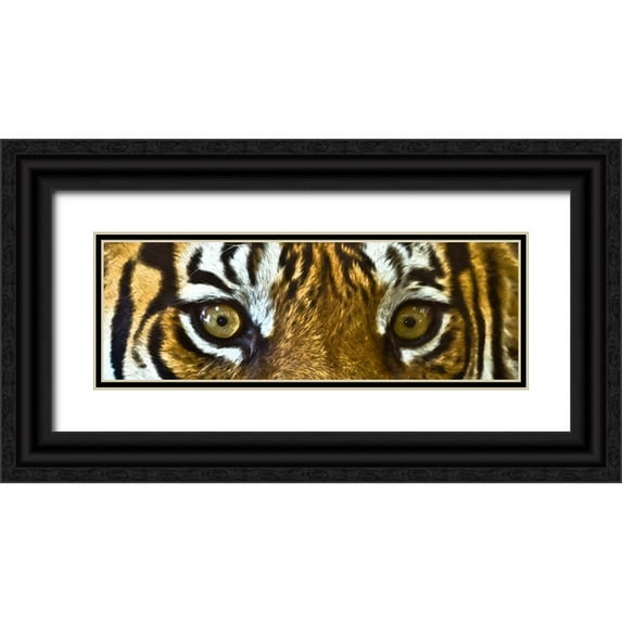 Bolokofsky, Ronald 32x13 Black Ornate Wood Framed with Double Matting Museum Art Print Titled - Tiger Eyes