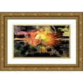 thumbnail image 1 of Bolokofsky, Ronald 32x20 Gold Ornate Wood Framed with Double Matting Museum Art Print Titled - Tropical Fireworks, 1 of 4