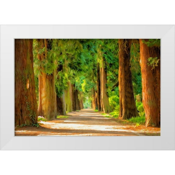 Bolokofsky, Ronald 32x23 White Modern Wood Framed Museum Art Print Titled - Shady Tree Lane III