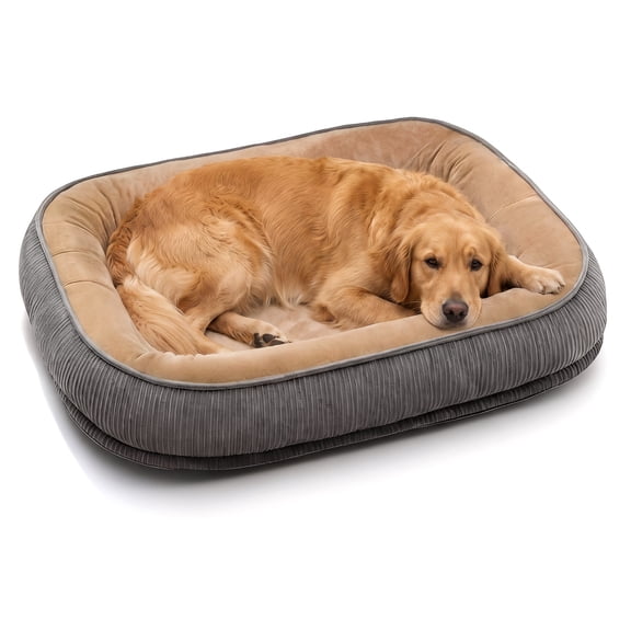 Bolster Dog Bed for Large Dogs, Orthopedic Foam Couch with Washable Cover